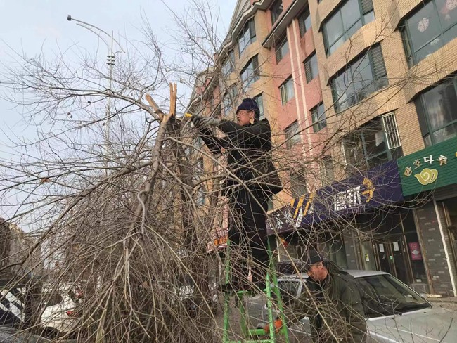 敦化市住建局加强春季绿澳门·威尼斯人(中国)官方网站化养护工作(图1)