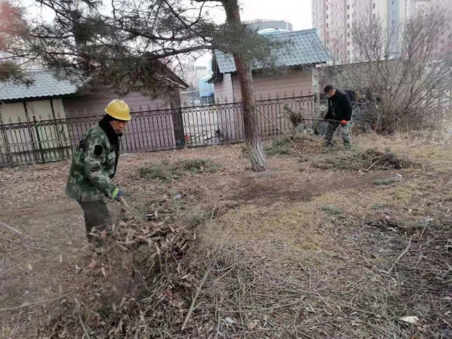 敦化市住建局加强春季绿澳门·威尼斯人(中国)官方网站化养护工作(图3)