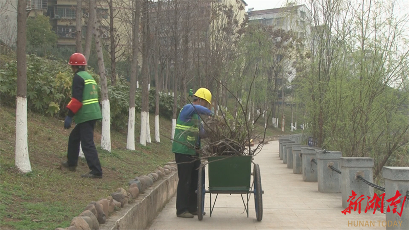 【聚力“一迎三创” 提升城市品澳门威尼斯人官网质】怀化市园林绿化服务中心加强绿化带及行道树日常养护(图1)